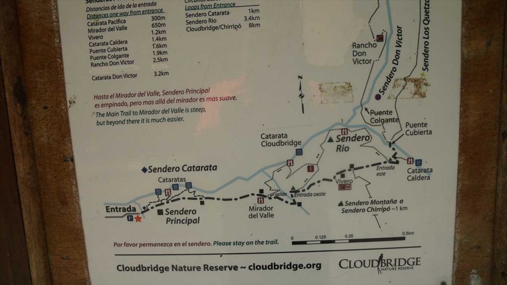 Cloudbridge