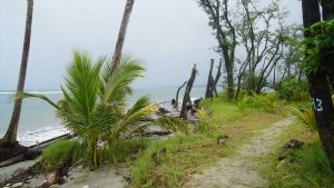 Cahuita Nationalpark
