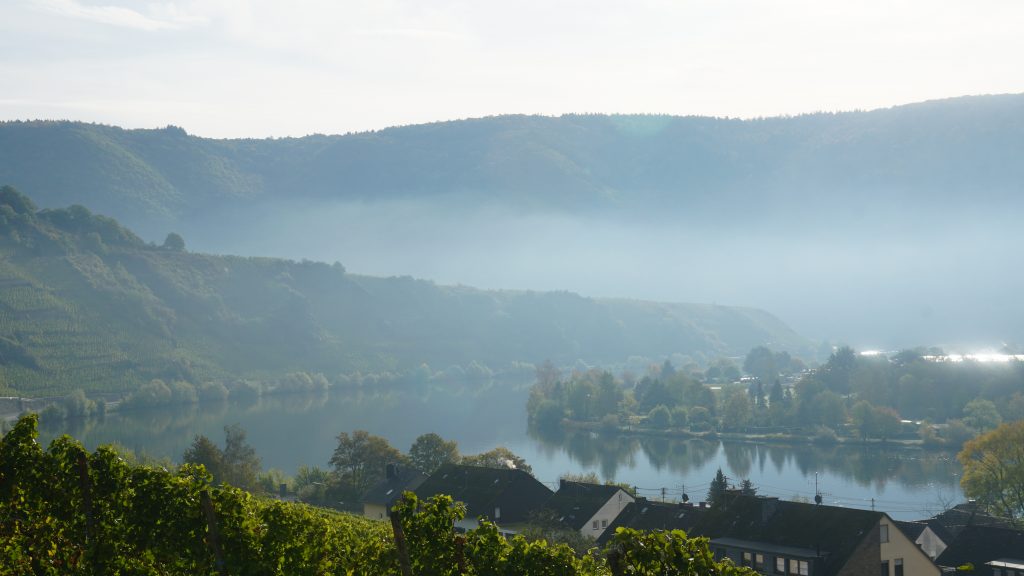 Mosel Mehring