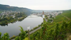Mosel Mehring
