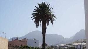 Westen Gran Canarias