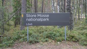 Store Mosse