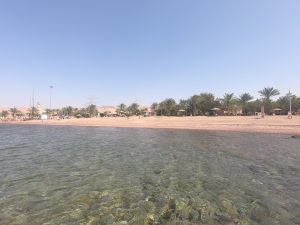Schnorcheln bei Aqaba