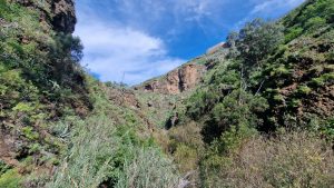 Geocaching im Norden von Gran Canaria