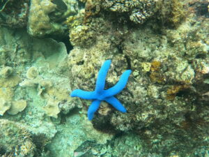 Camiguin