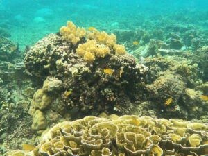 Camiguin