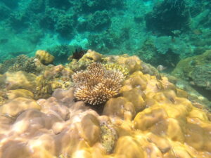 El Nido