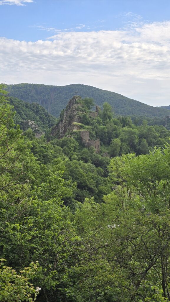 Burg Are