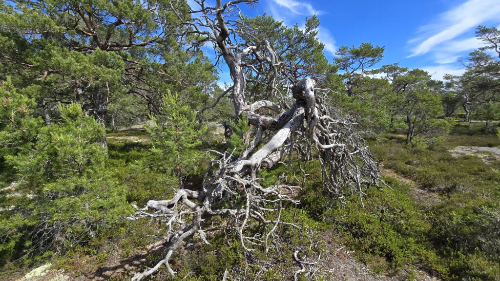 Aland Inseln