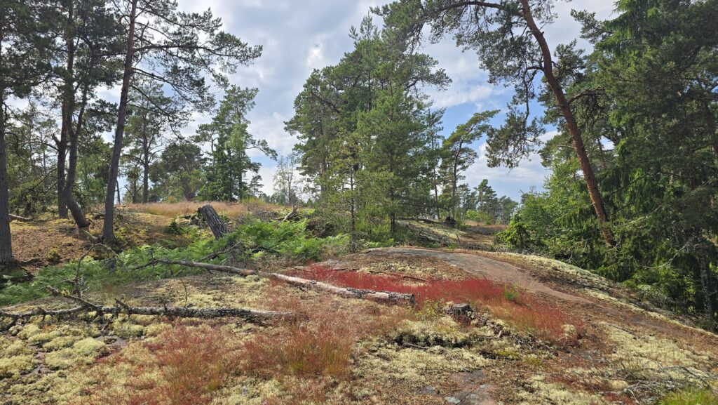 Aland Inseln