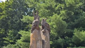 Riverwood Conservancy