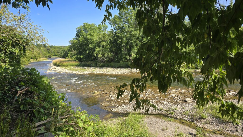 Riverwood Conservancy