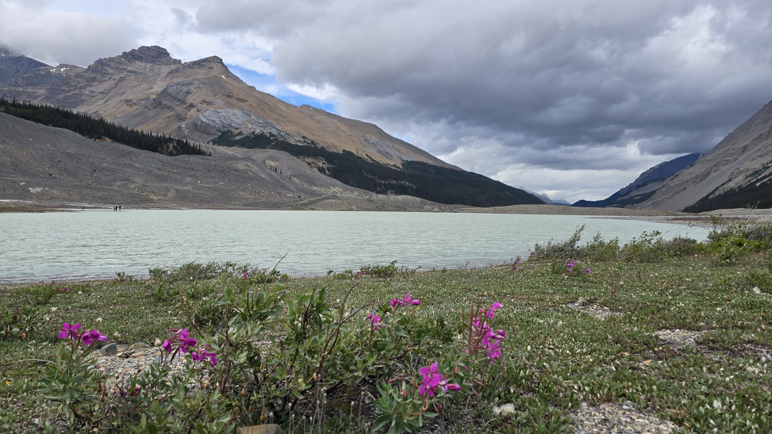 Jasper