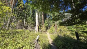 Heyburn State Park