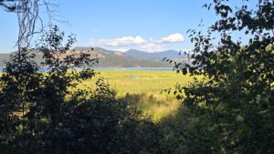 Heyburn State Park