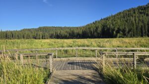 Heyburn State Park