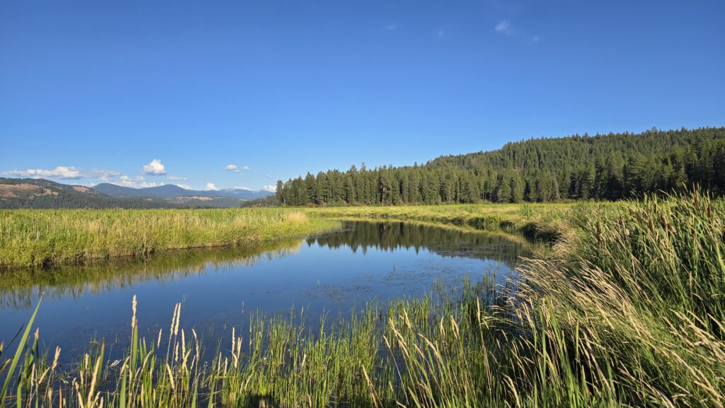 Heyburn State Park