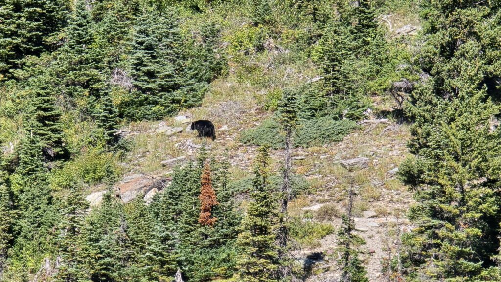 Glacier National Park