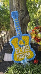 Elvis
