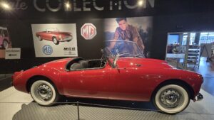 Elvis