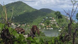 British Virgin Islands