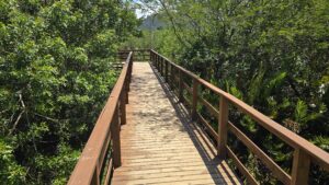 Botanischer Garten Florianopolis