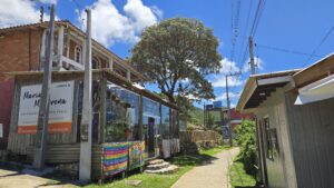 Caminho da Costa da Lagoa