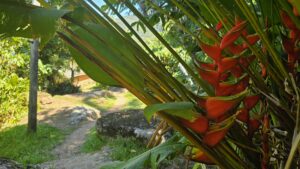Caminho da Costa da Lagoa