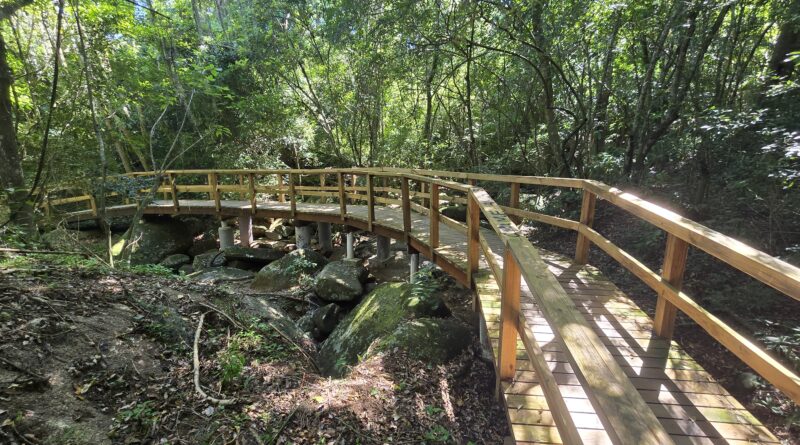 Caminho da Costa da Lagoa