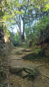 Caminho da Costa da Lagoa