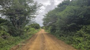 iSimangaliso Wetland Park