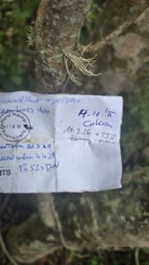 iSimangaliso Wetland Park