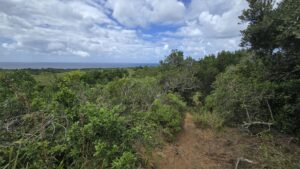 iSimangaliso Wetland Park