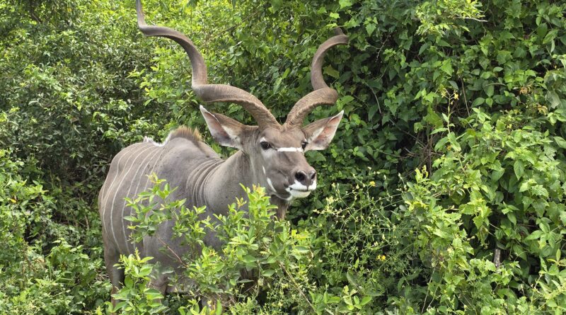 iSimangaliso Wetland Park