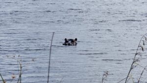 iSimangaliso Wetland Park