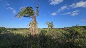 iSimangaliso Wetland Park