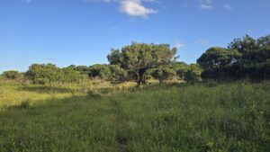 iSimangaliso Wetland Park