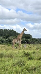 iSimangaliso Wetland Park