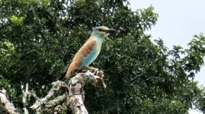 iSimangaliso Wetland Park