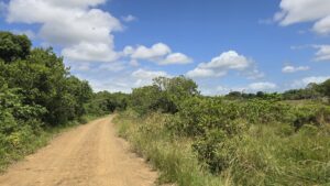 iSimangaliso Wetland Park