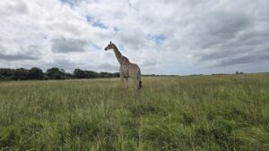 iSimangaliso Wetland Park