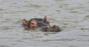 iSimangaliso Wetland Park