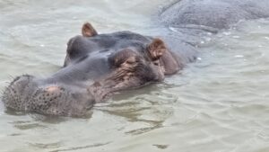 iSimangaliso Wetland Park