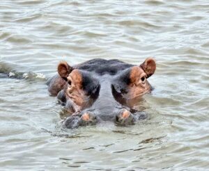 iSimangaliso Wetland Park