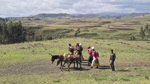 Portugiesische Brücke