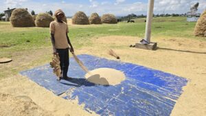 Portugiesische Brücke