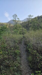 Jim Corbett