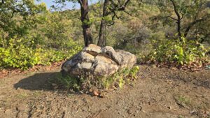 Jim Corbett