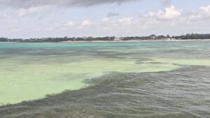 Malindi