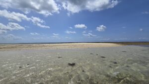 Malindi